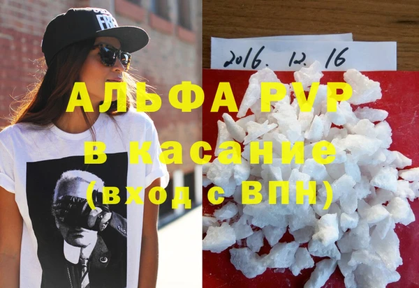 индика Покачи